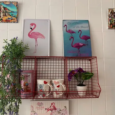Apartment Violetas